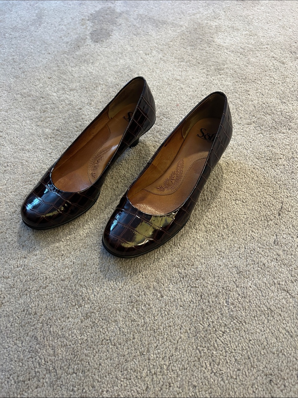 Sofft Women's Croc-Embossed Leather Flats in Dark Brown